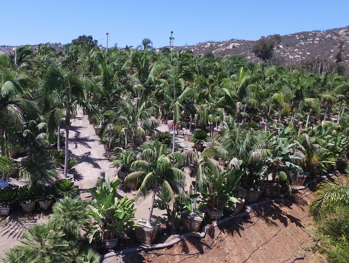 Get to Know Our Moon Valley Nurseries Farms